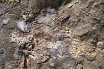 Kho báu khổng lồ chứa 1.000 tấn vàng: Không ai dám đụng!