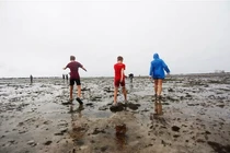 Bờ biển rút cạn nước sau bão Ian, chuyên gia lo ngay ngáy vì...