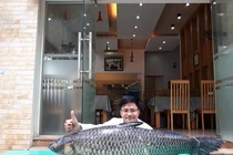 'Thuỷ quái' sông Đà lọt lưới khiến dân tình phát hoảng vì quá 'khủng'