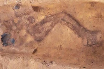 Bật nắp mộ cổ, sốc nặng thấy hài cốt “không cánh mà bay”