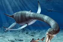 Chi tiết giật mình về "quái vật" đáng gờm bậc nhất thời tiền sử 