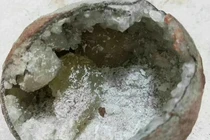 Bất ngờ thấy trứng khủng long “ma” ngậm pha lê, chuyên gia nói gì? 