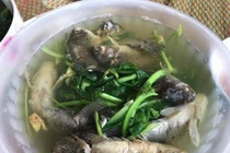 Loạt món ăn dở tệ, vụng thối vụng nát khiến dân mạng “cười xỉu“