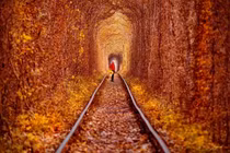 ​Cảnh đẹp nao lòng ở đường hầm tình yêu của Ukraine suốt 4 mùa