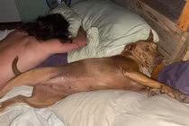 Người phụ nữ hoảng loạn khi thấy chó lạ ngủ trên giường giữa đêm 