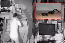 Đi ăn cắp gặp rắn nhựa, tên trộm ngã hôn mê bất tỉnh