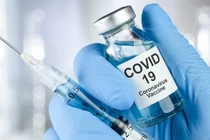 Tiêm mũi 2 vắc xin COVID-19 muộn, có phải tiêm lại từ đầu? 