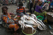 Kinh dị những món ăn kỳ lạ chỉ thấy ở chợ châu Phi