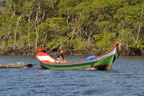 Bất ngờ cuộc sống yên bình ở hòn đảo hoang sơ nhất thế giới