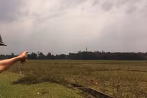 Giải mã ngôi làng ở Hà Tĩnh bị sét đánh như cơm bữa