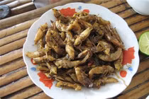 Những đặc sản níu chân du khách khi đến Mù Căng Chải mùa lúa chín