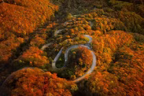 Cảnh đẹp mùa thu vàng trên cung đèo 48 khúc cua