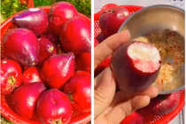 Các loại trái cây độc lạ được nhiều người dân miền Tây yêu thích