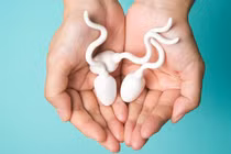 Quý ông gốc Việt bị điều tra vì hiến tinh trùng: “Con giống” cho nhiều... lâm trận có khoẻ?