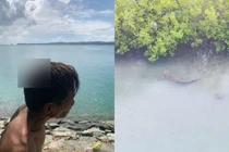 Cậu bé mất tích sau khi bị cá sấu tấn công lôi xuống nước