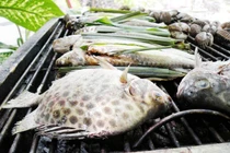 Ứa nước miếng món cá hói nướng lá lốt "nguyên thủy" cực hấp dẫn