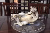 Những tạo dáng gà cúng bá đạo khiến dân tình “cười té ghế”