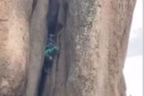 Đứng tim cảnh cụ ông xuống núi bằng đầu