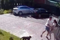 Bé gái 2 tuổi trọng thương khi bị khỉ hoang tấn công