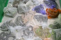 Nhét hơn 50 túi rắn, thằn lằn trong quần để buôn lậu vào Mỹ