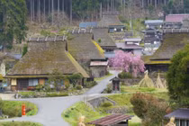 “Hớp hồn” ngôi làng mái tranh đẹp như tranh vẽ ở Nhật