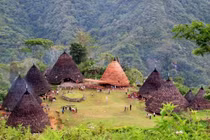 Lạ lùng ngôi làng cổ biệt lập nằm giữa rừng sâu ở Indonesia