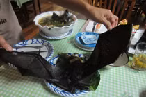 Món ăn kinh dị từ dơi tiềm ẩn nguy cơ phát tán virus corona