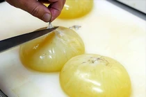 Món trứng bạch tuộc khổng lồ được người Nhật yêu thích có gì lạ?