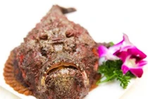 Món cá mặt quỷ nhìn phát khiếp nhưng ăn lại nghiện