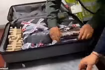 Liều mình giấu 23 kg ma túy trong vali mang lên máy bay