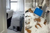 Quên không đóng cửa sổ, cô gái khóc thét khi cả nhà bị... đóng băng