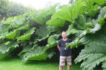 Kỳ lạ vùng đất trồng cây cối khổng lồ khó tin ở Nga