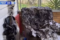 Cãi nhau chuyện vặt, vợ tẩm xăng thiêu sống chồng