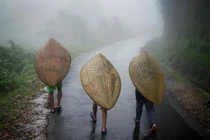 Cuộc sống trong ngôi làng mệnh danh là “nơi ẩm ướt nhất thế giới“