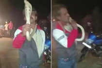 Chơi đùa với rắn hổ mang, người đàn ông thiệt mạng