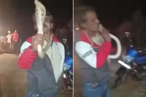 Chơi đùa với rắn hổ mang, người đàn ông thiệt mạng