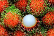 Chôm chôm không phải quả chín đỏ là ngon, khi ăn mới biết sự thật