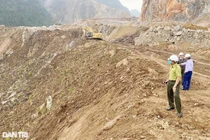 Vì sao công an không khởi tố doanh nghiệp tàn phá 32.000m2 rừng?