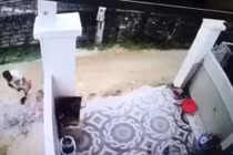 Tài xế cán chết bé trai xóa dấu vết, giả vờ cùng họ hàng tìm kiếm