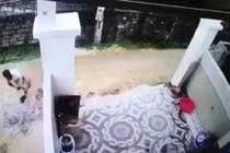 Tài xế cán chết bé trai xóa dấu vết, giả vờ cùng họ hàng tìm kiếm