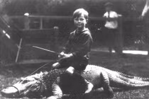 Ảnh hiếm: Trang trại ở California cho trẻ em cưỡi cá sấu