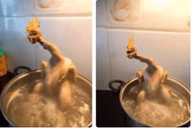 Thảm họa bếp núc mùa dịch khiến dân mạng “cười ra nước mắt”