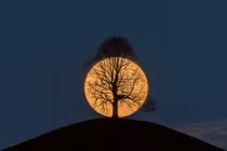 Cảnh tượng thiên nhiên tuyệt đẹp lay động trái tim người xem