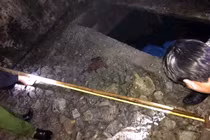 Khởi tố vụ bé trai rơi xuống bể phốt trường mầm non tử vong