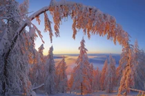 Vẻ đẹp mùa đông ở Siberia chìm trong cái lạnh tê tái -45 độ C