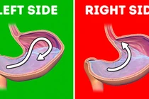 9 cách cải thiện tiêu hóa hoạt động trơn tru