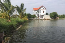 Nuôi con “nhàn hạ”, ngày cho ăn 1 lần, cứ 8 tháng lại “đút túi” hơn 300 triệu