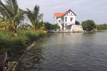 Nuôi con “nhàn hạ”, ngày cho ăn 1 lần, cứ 8 tháng lại “đút túi” hơn 300 triệu