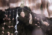 Kỳ lạ giếng nước cổ “hóa đá” mọi thứ bên trong