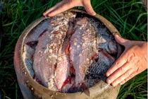 Những món ăn kỳ lạ trong ẩm thực của người Nga cổ